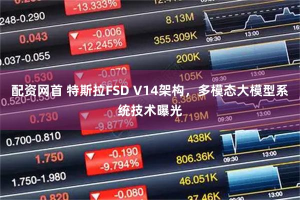 配资网首 特斯拉FSD V14架构,多模态大模型系统技术曝光